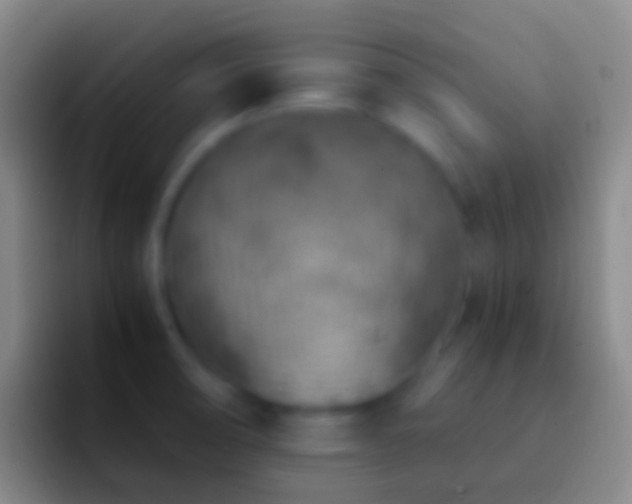 X0000092331474200709211258