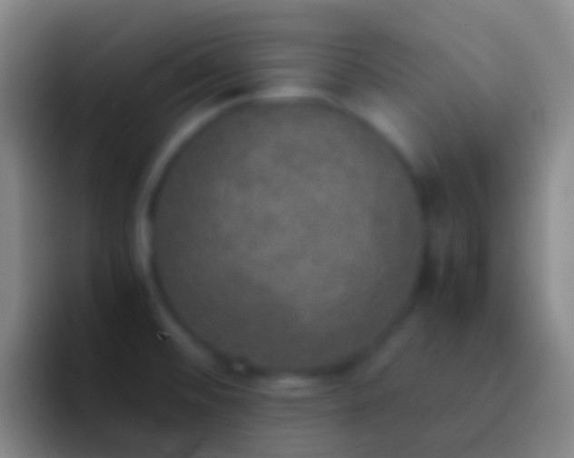 X0000092331476200709211258