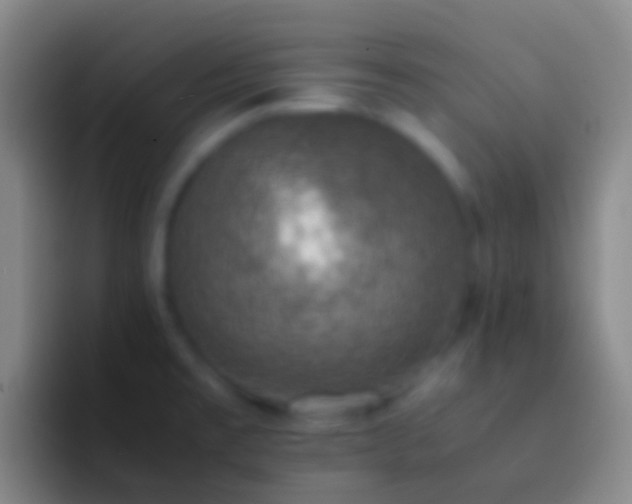 X0000092331477200709211258