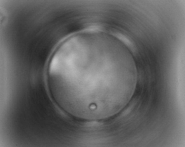 X0000092331478200709211258