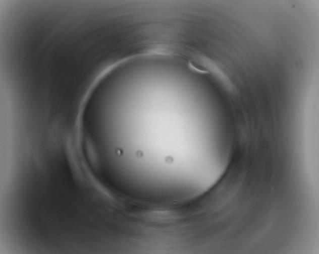 X0000092331479200709211258