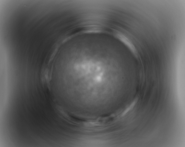 X0000092331481200709211258