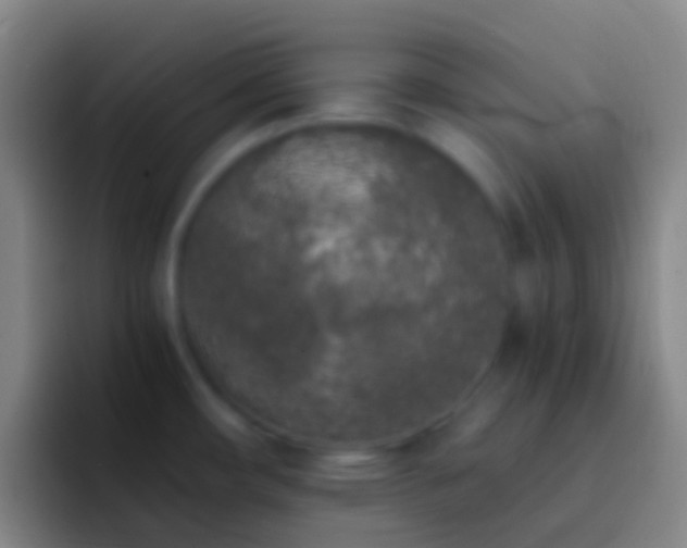 X0000092331482200709211258