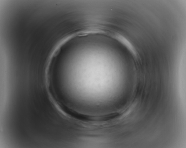 X0000092331485200709211258