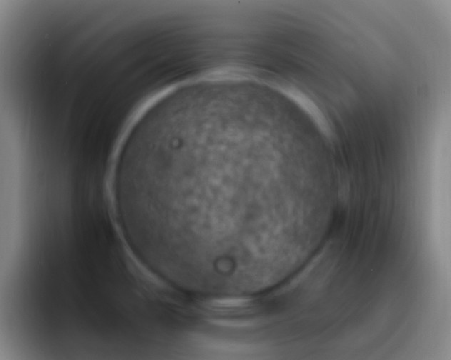 X0000092331486200709211258