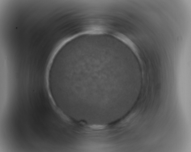 X0000092331488200709211258