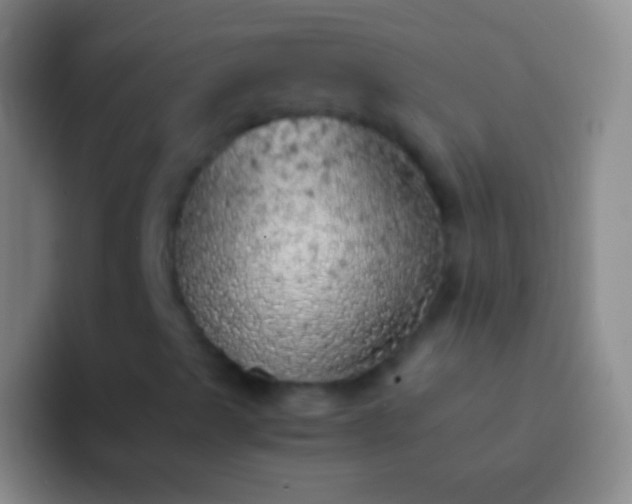 X0000092331489200709211258