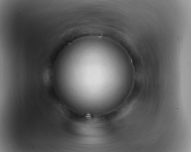 X0000092331490200709211258