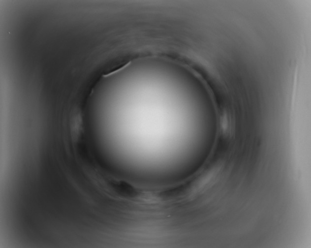X0000092331492200709211258