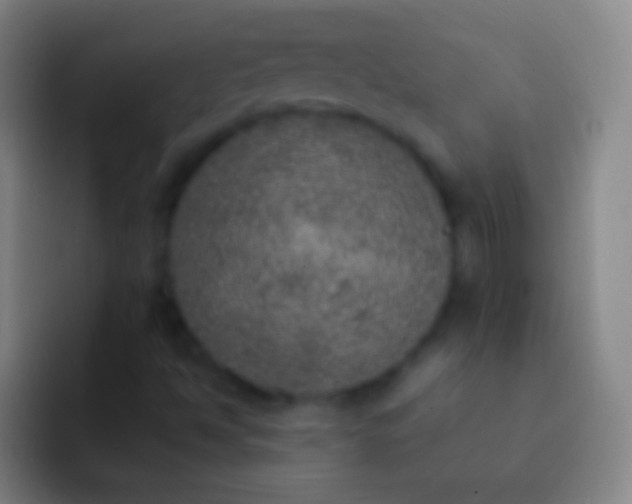 X0000092331494200709211258