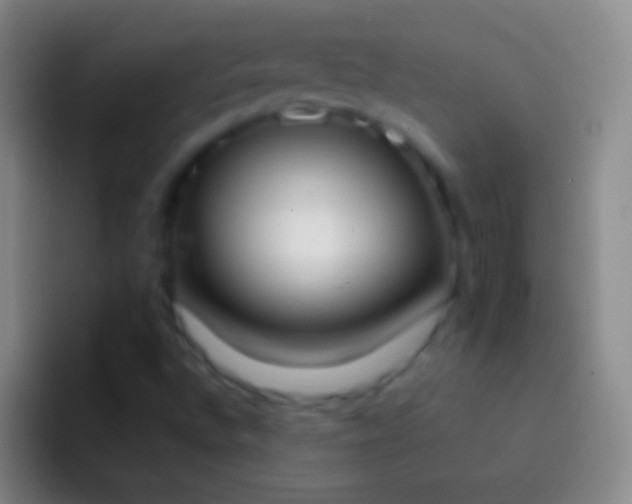 X0000092331496200709211258