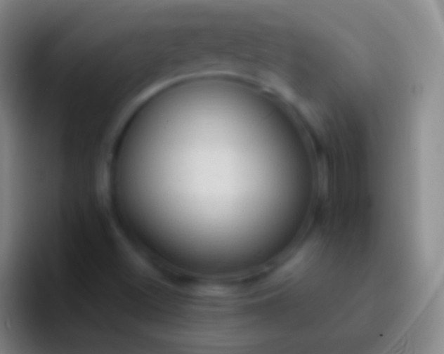 X0000092331500200709211258