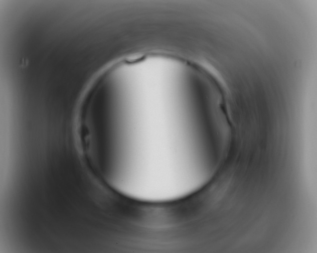 X0000092331508200709211258