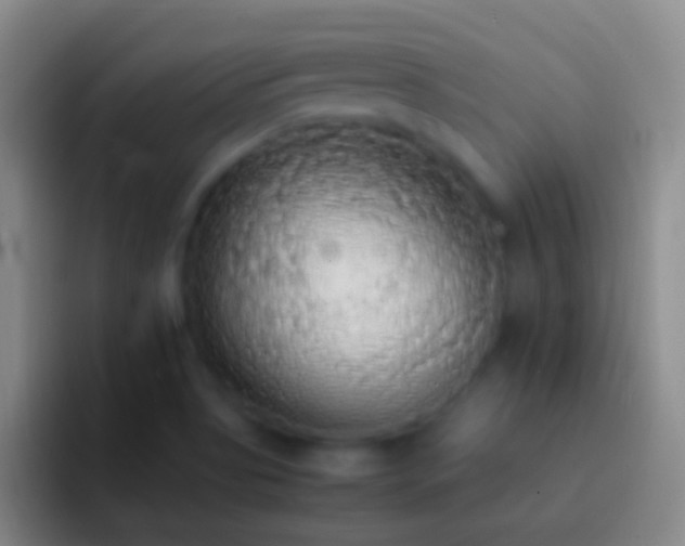 X0000092331513200709211258