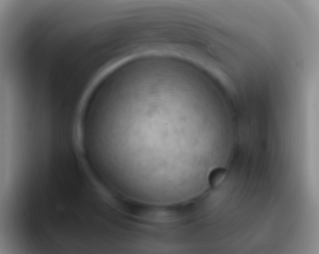 X0000092331517200709211258