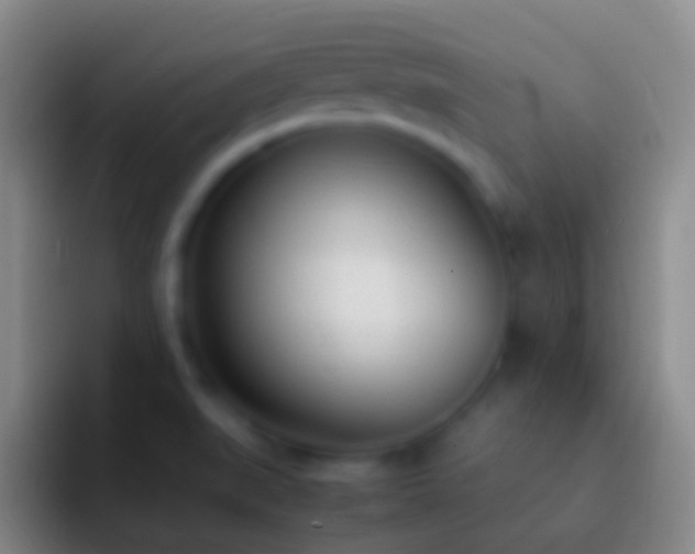 X0000092331519200709211258