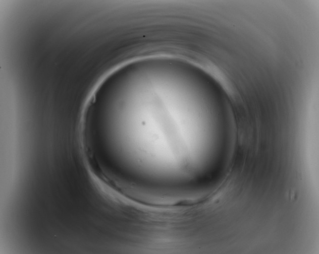 X0000092331532200709211258
