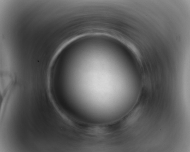 X0000092331533200709211258