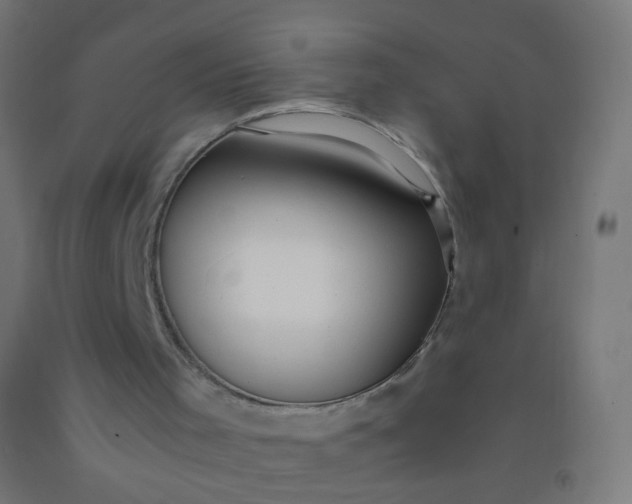 X0000092330001200709281436