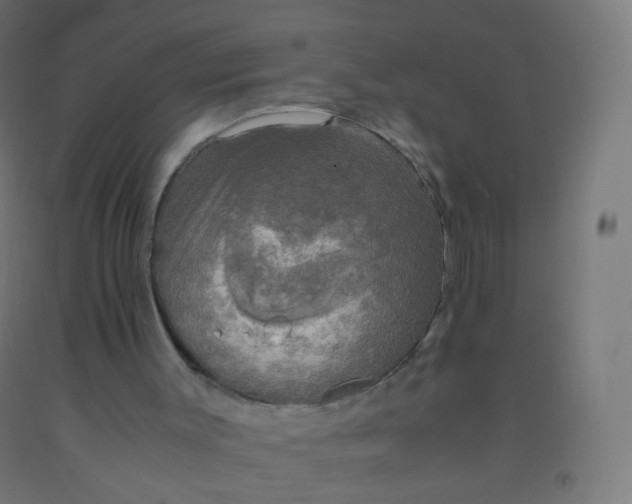 X0000092330003200709281436