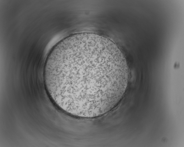 X0000092330004200709281436