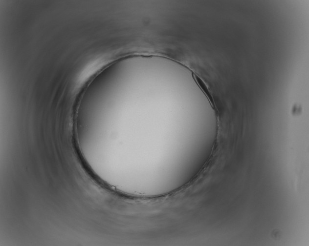 X0000092330005200709281436