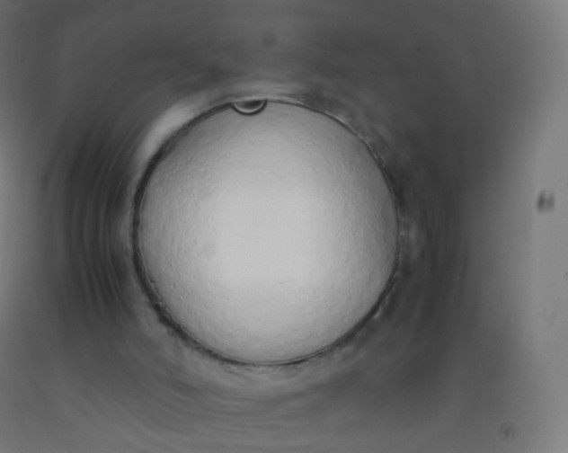 X0000092330006200709281436