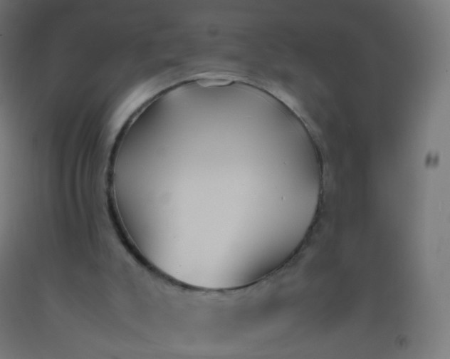 X0000092330007200709281436