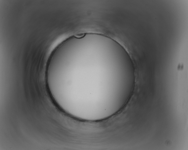 X0000092330008200709281436