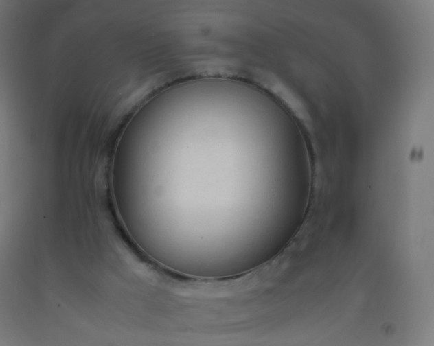 X0000092330009200709281436