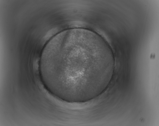 X0000092330010200709281436