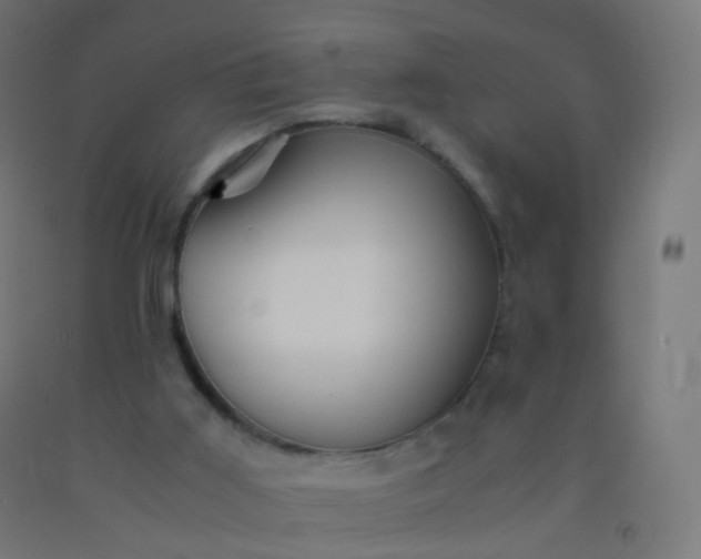 X0000092330011200709281436