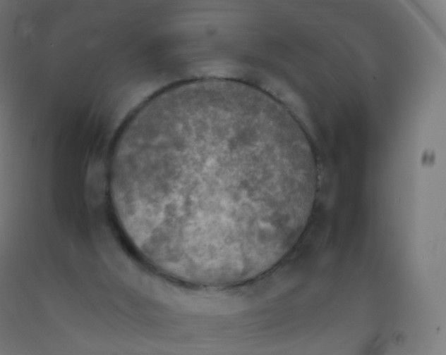X0000092330012200709281436