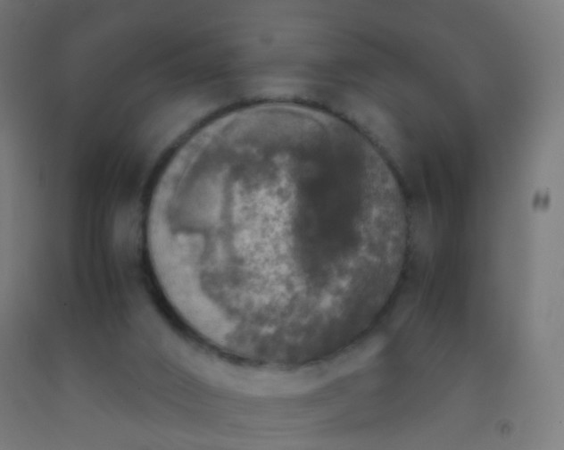 X0000092330016200709281435