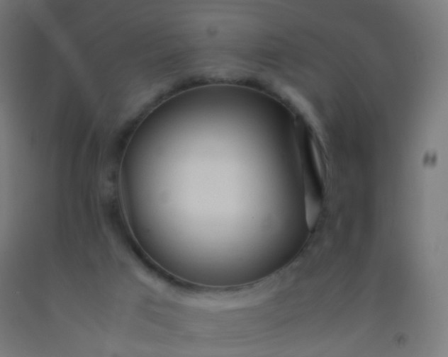 X0000092330017200709281435