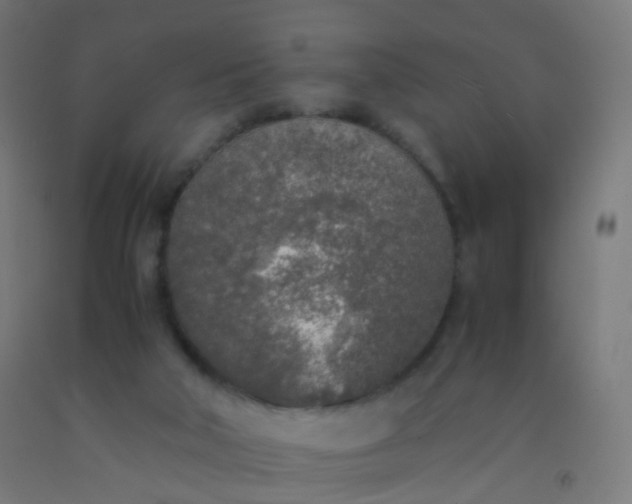 X0000092330018200709281435