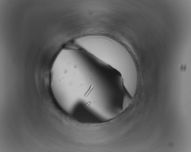 X0000092330019200709281435