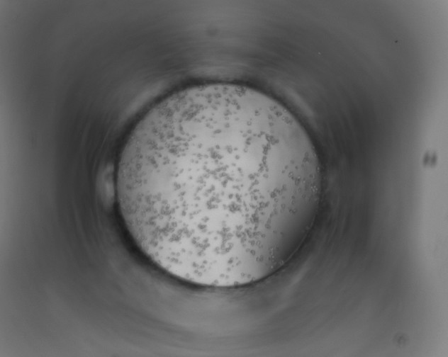 X0000092330020200709281435
