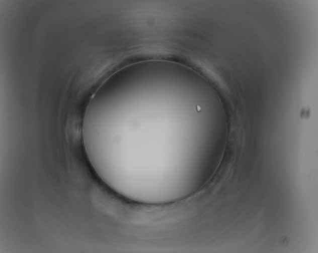 X0000092330021200709281435