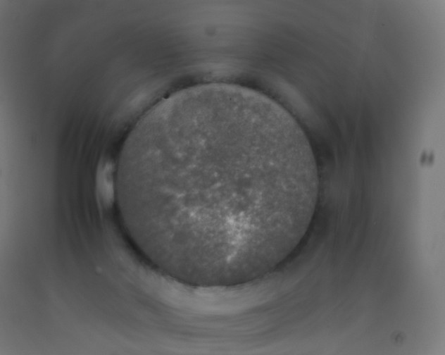 X0000092330022200709281435