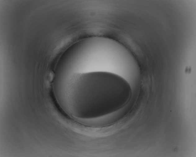 X0000092330023200709281435