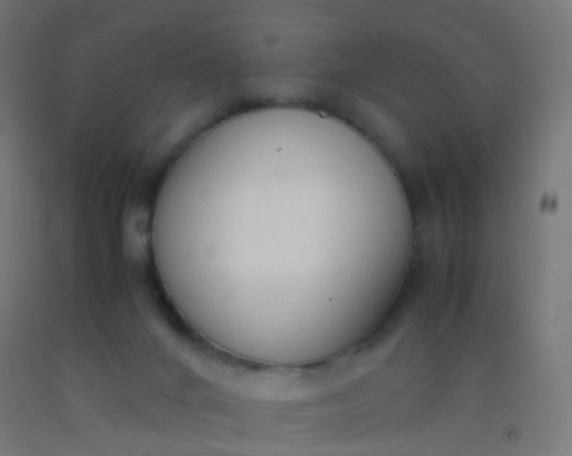 X0000092330024200709281435