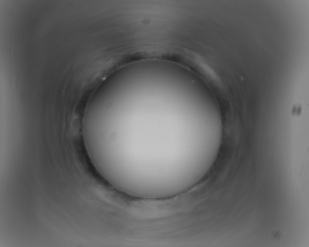 X0000092330025200709281435