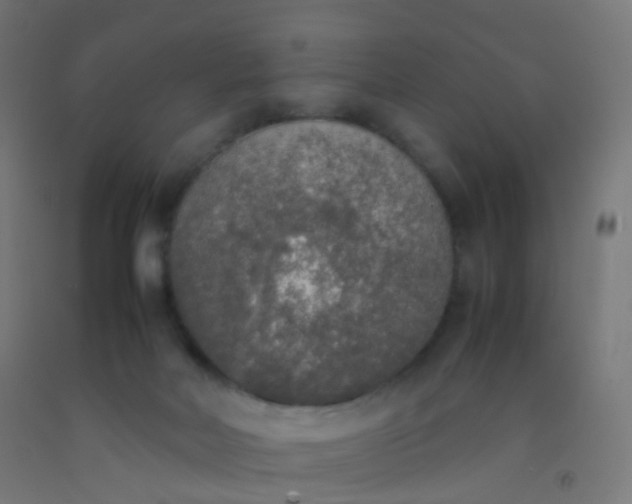 X0000092330026200709281435