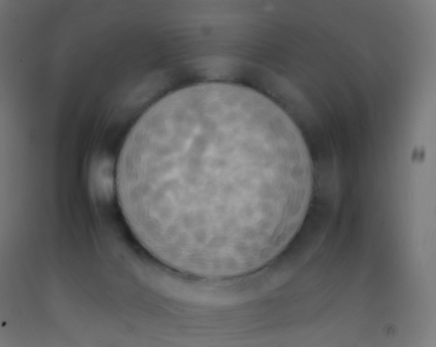 X0000092330028200709281435