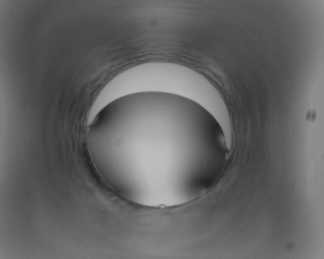 X0000092330029200709281435
