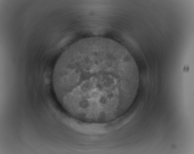 X0000092330032200709281435
