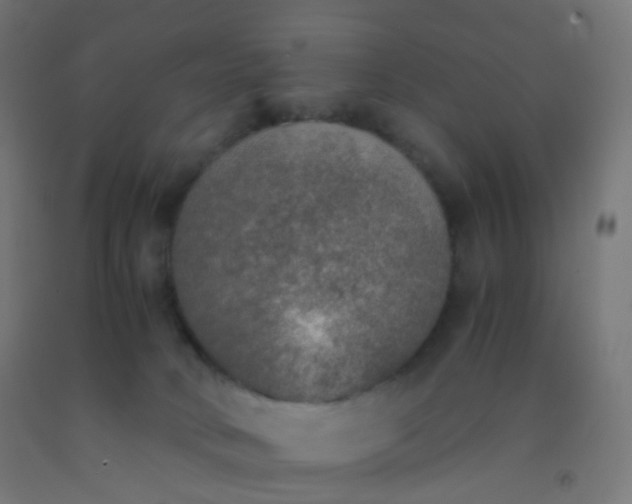 X0000092330034200709281435