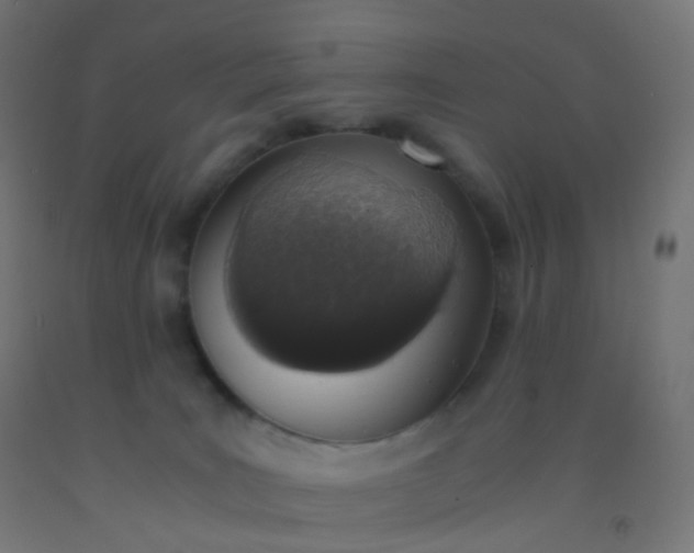 X0000092330035200709281435