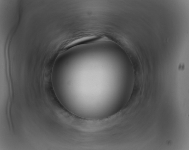 X0000092330037200709281435